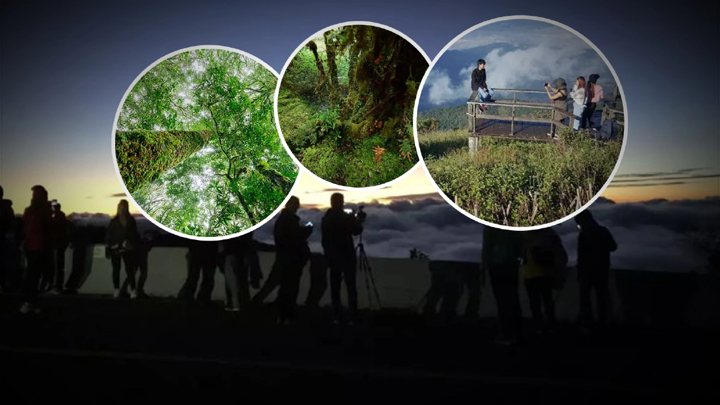 หนีกรุงขึ้นดอย กับ 2 เส้นทางศึกษาธรรมชาติ "กิ่วแม่ปาน-อ่างกา" ที่อินทนนท์