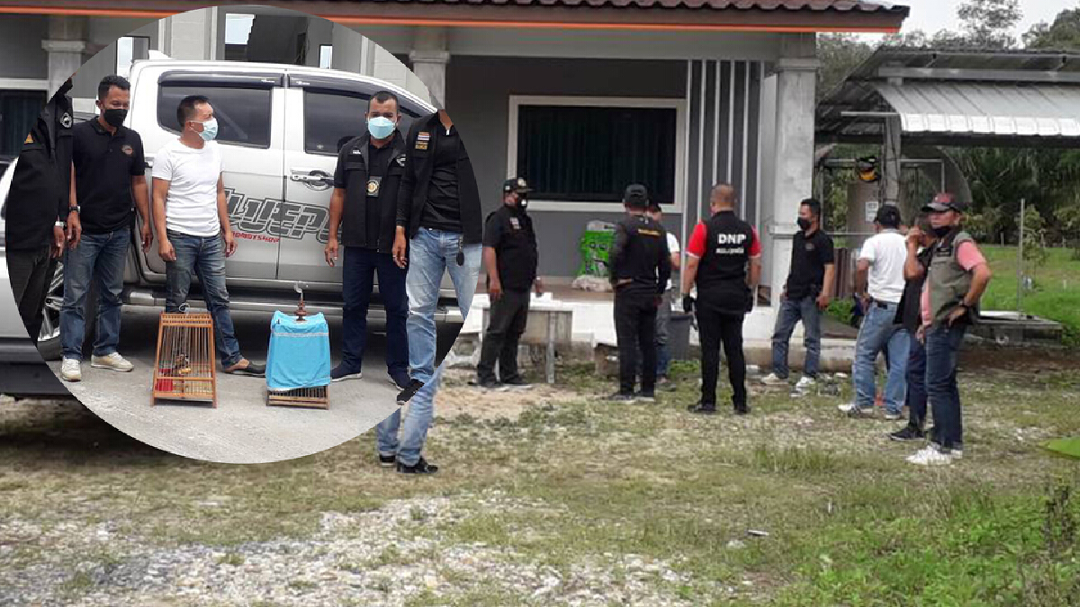 รวบหนุ่มโพสต์ขาย "นกปรอดหัวโขน" ผ่านทางเฟซบุ๊ก