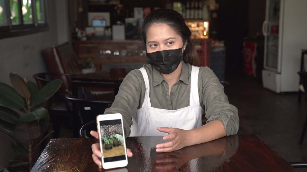 เจ้าของร้านกาแฟวอนจับคนร้ายขโมยต้นไม้ด่างพันธุ์“ญาญ่า”