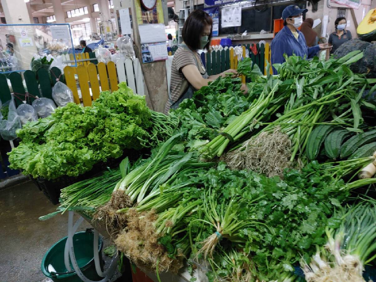 ราคาผักชีที่เบตงปรับพุ่งกิโลกรัมละ 400 บาท