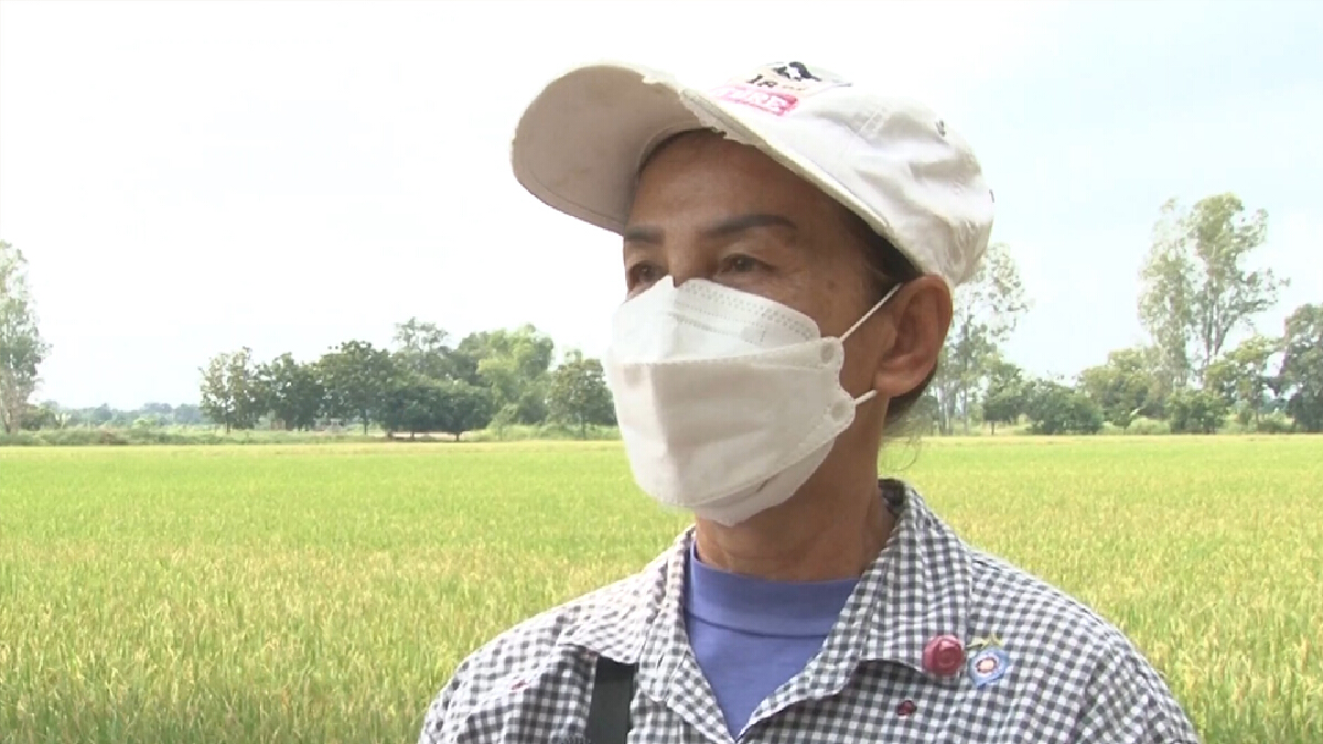 ชาวนาชัยนาทเฮ รับเงินประกันราคาข้าว ขอบคุณรัฐบาลที่เห็นใจ