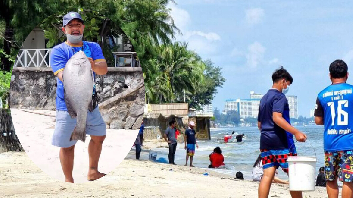 ชาวบ้านแห่จับสัตว์ทะเลหาดหัวหิน หลังเกิดปรากฏการณ์ "น้ำทะเลเบียด"