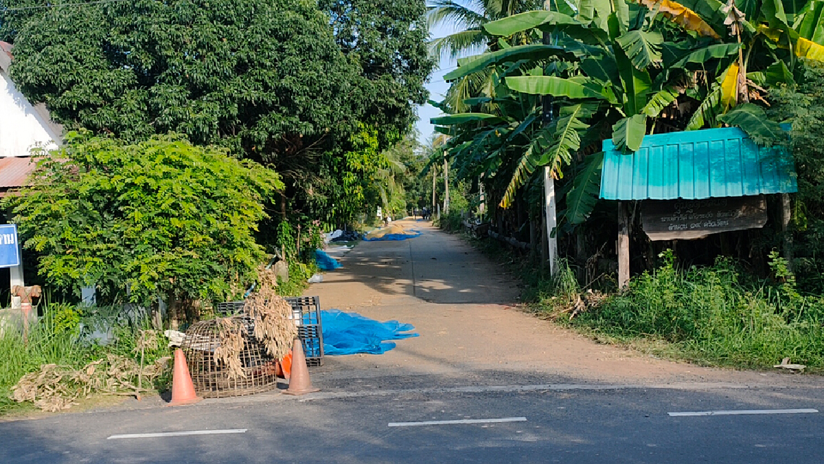 จบดราม่าถนนตากข้าว เมียผญบ.และชาวนายอมถอยใช้แค่ครึ่งเลน