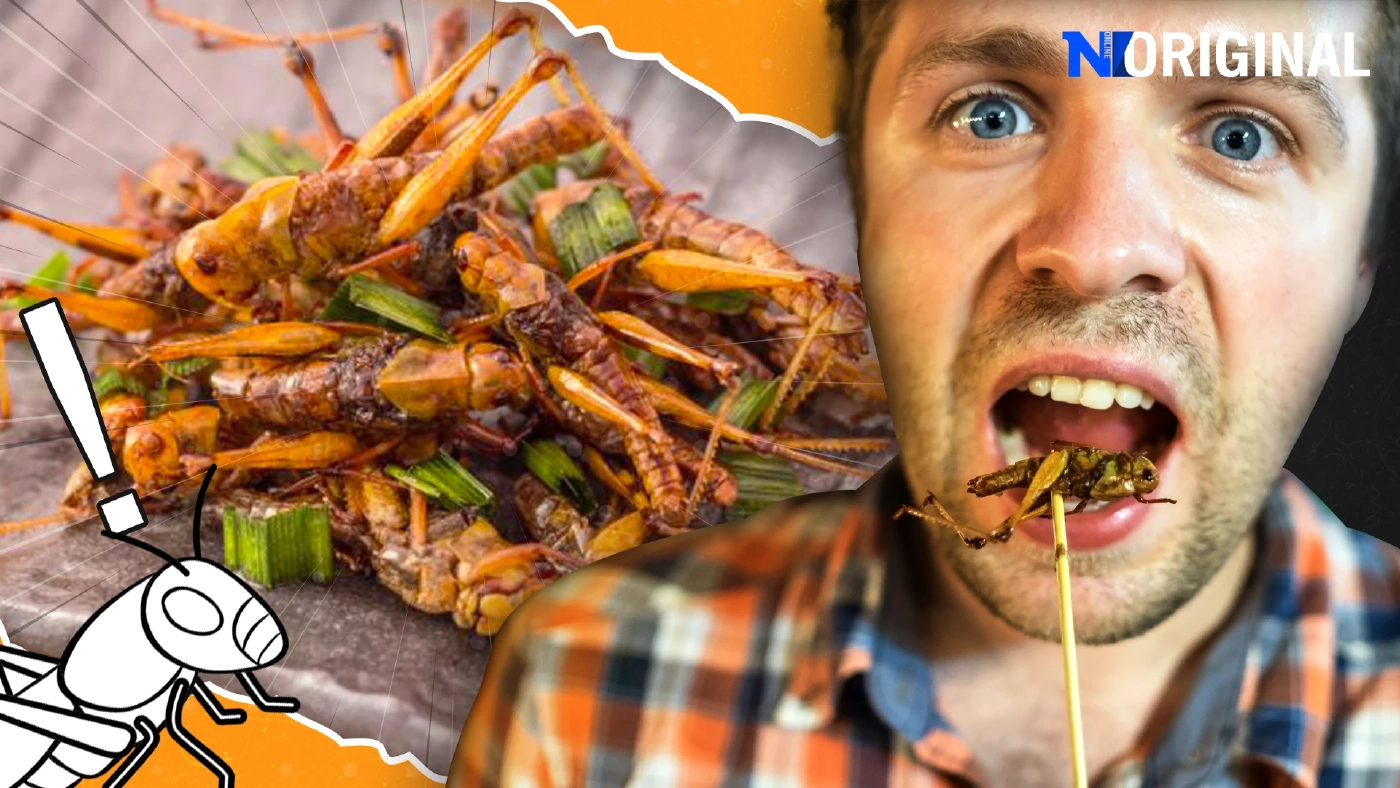 Did you know? การกินแมลงกำลังได้รับความนิยมจากทั่วโลก