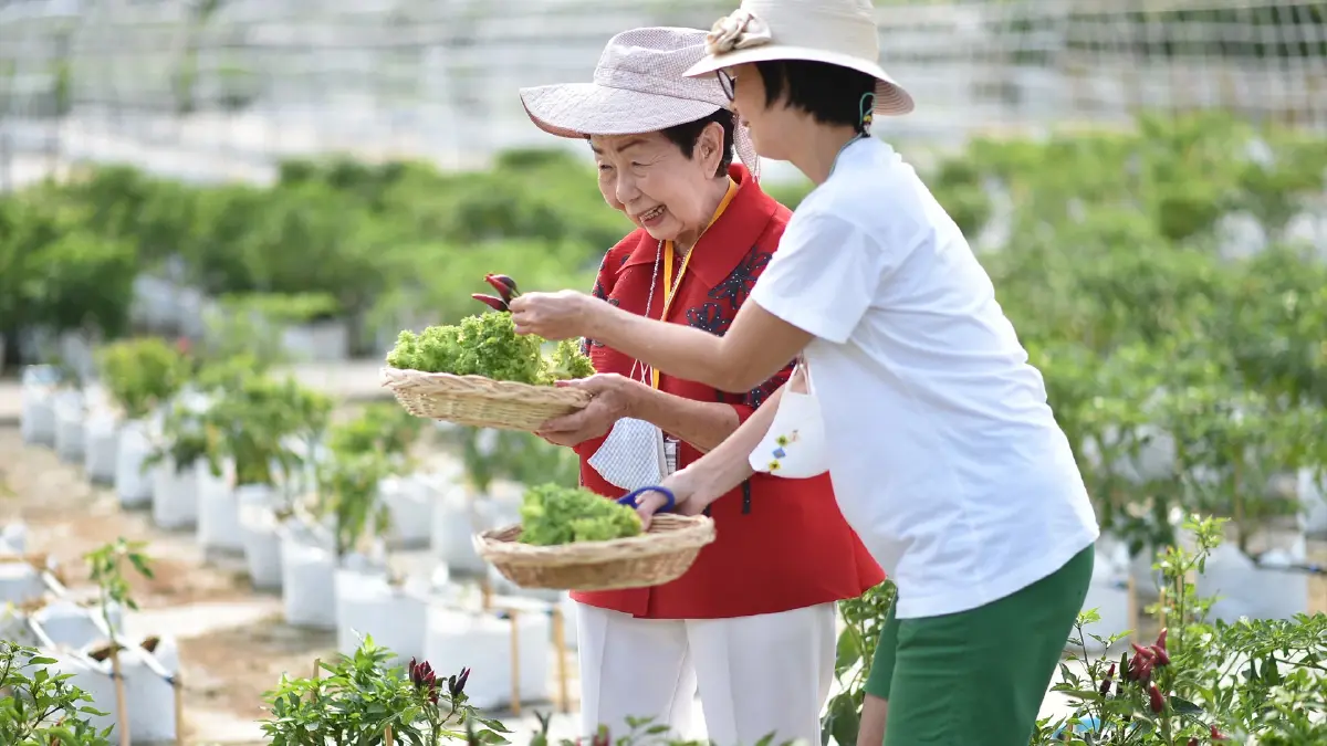 เมื่อกำลังเข้าสู่ "สังคมผู้สูงวัย" เหตุใดภูมิคุ้มกันกลายเป็นสิ่งล้ำค่า
