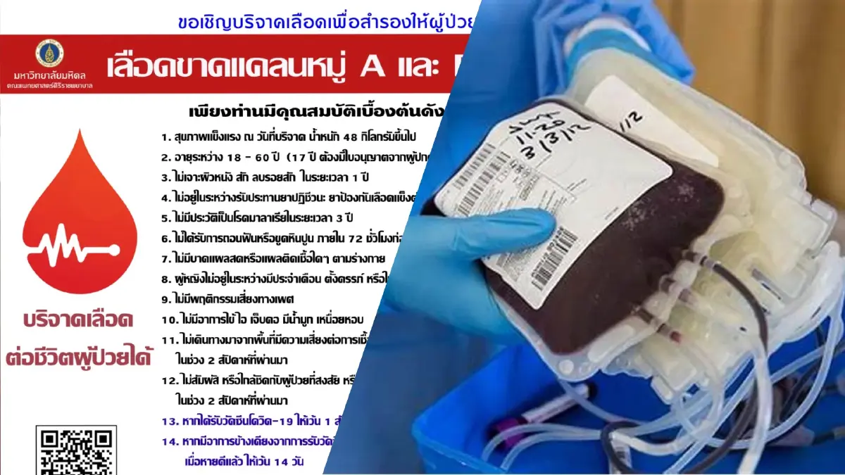 ด่วน ! รพ.ศิริราช วอนคนไทยร่วมบริจาคเลือด ล่าสุดคลังเลือดขาดแคลนทุกหมู่ ด่วน ! รพ.ศิริราช วอนคนไทยร่วมบริจาคเลือด ล่าสุดคลังเลือดขาดแคลนทุกหมู่