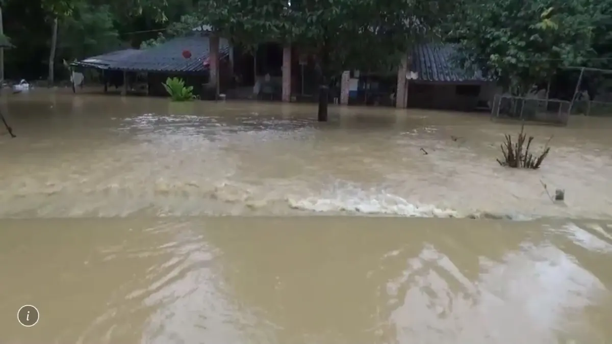 น้ำป่าท่วม 3 อำเภอ จ.ตรัง กระทบประชาชน 120 ครัวเรือน น้ำป่าท่วม 3 อำเภอ จ.ตรัง กระทบประชาชน 120 ครัวเรือน