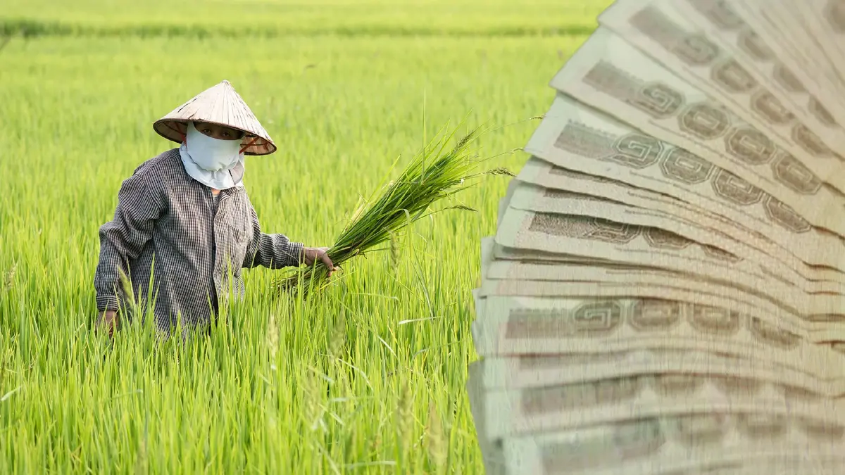 ครม. อนุมัติวงเงิน 5.4 หมื่นล้านบ. พัฒนาคุณภาพผลผลิตเกษตรกร