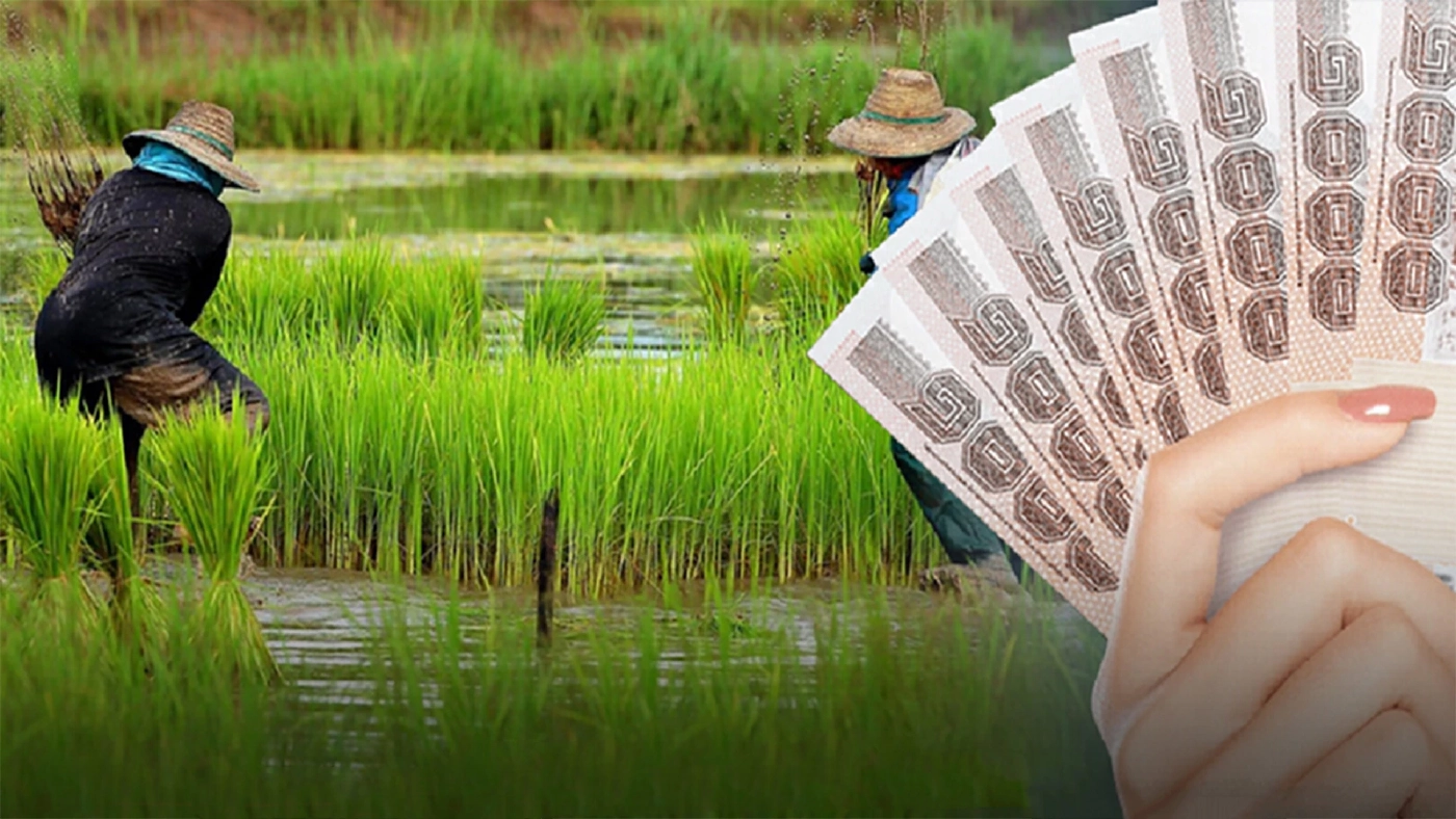 เช็กสถานะ "เงินเยียวยาเกษตรกร" หากยังไม่ได้ แนะวิธีง่าย ๆ ที่นี่ เช็กสถานะ "เงินเยียวยาเกษตรกร" หากยังไม่ได้ แนะวิธีง่าย ๆ ที่นี่