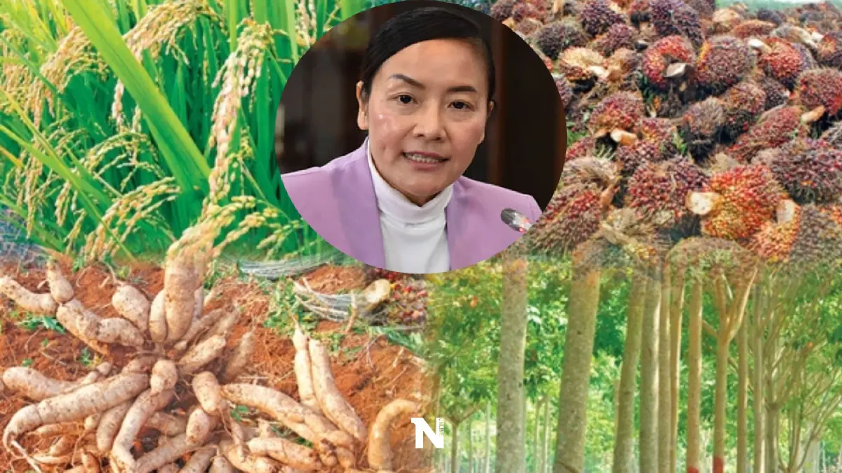มัลลิกา ฉะ คนวิจารณ์นโยบายประกันรายได้ โว รัฐบาลชุดนี้ทำพืชศก.ราคาพุ่ง