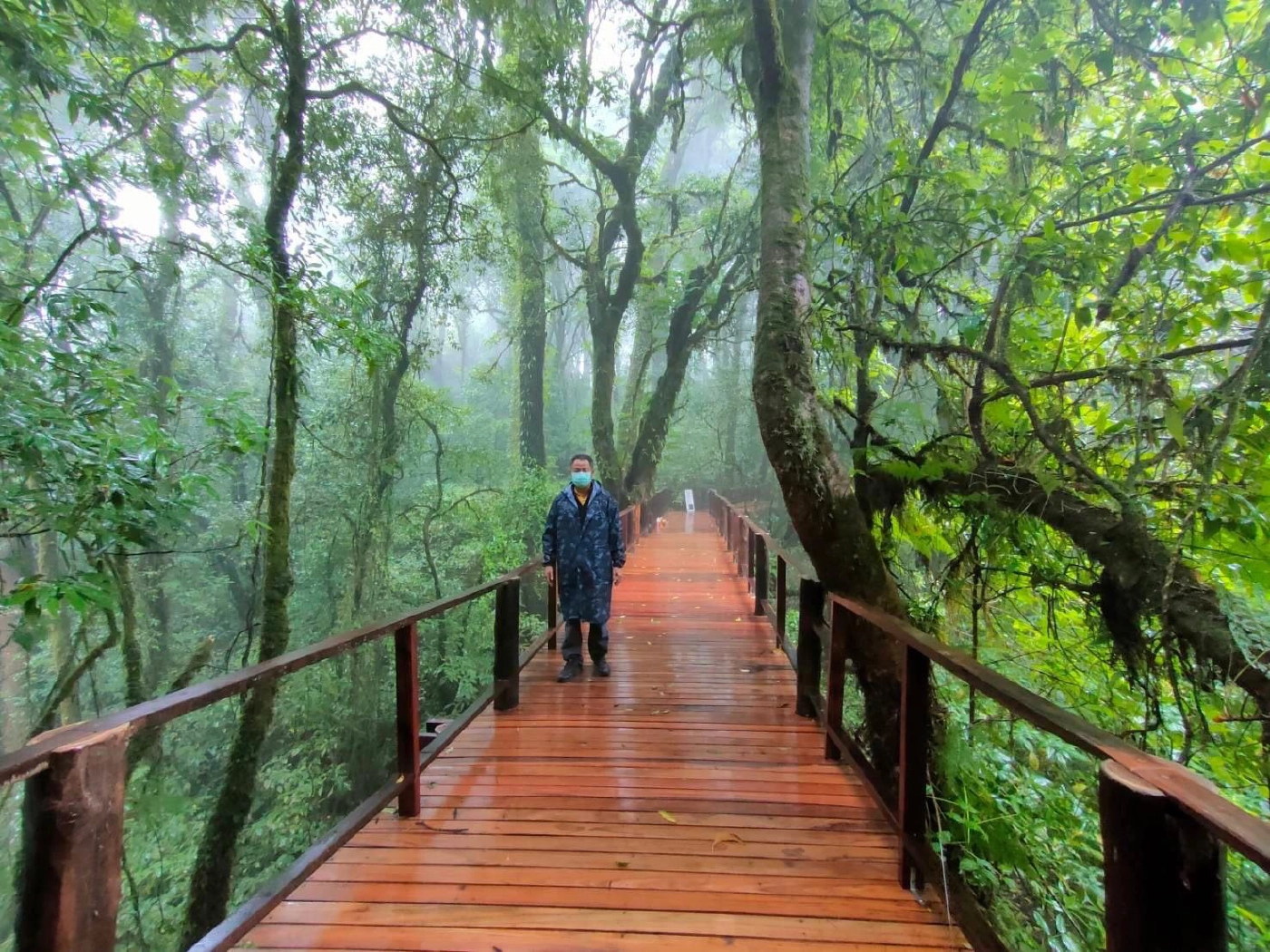 หนาวยะเยือกดอยอินทนนท์ชูไฮไลท์ป่าดิบเขา“อ่างกา”