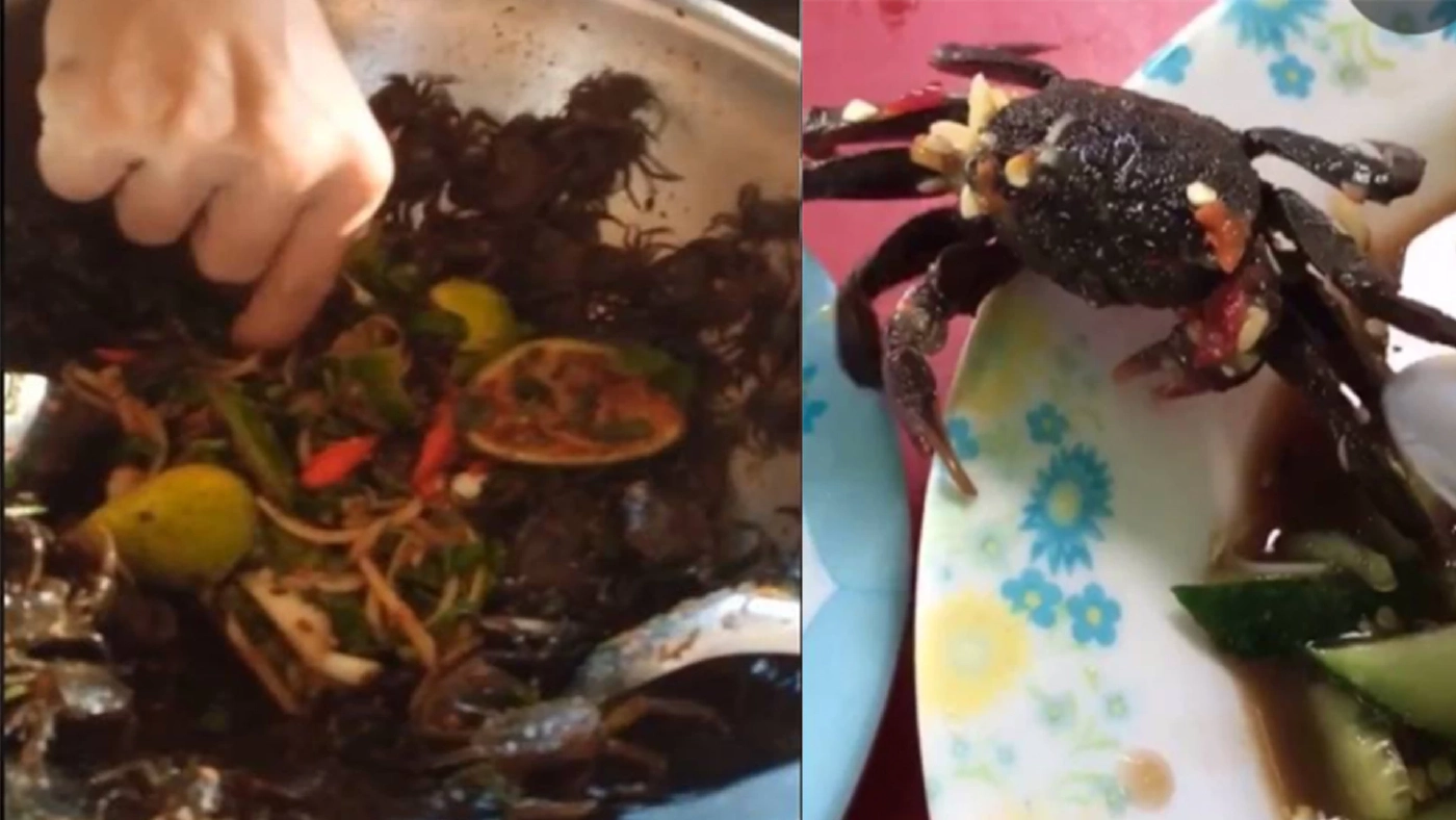 กรมอนามัย เตือน! กินปูสดๆเสี่ยงพยาธิ แนะปรุงสุก