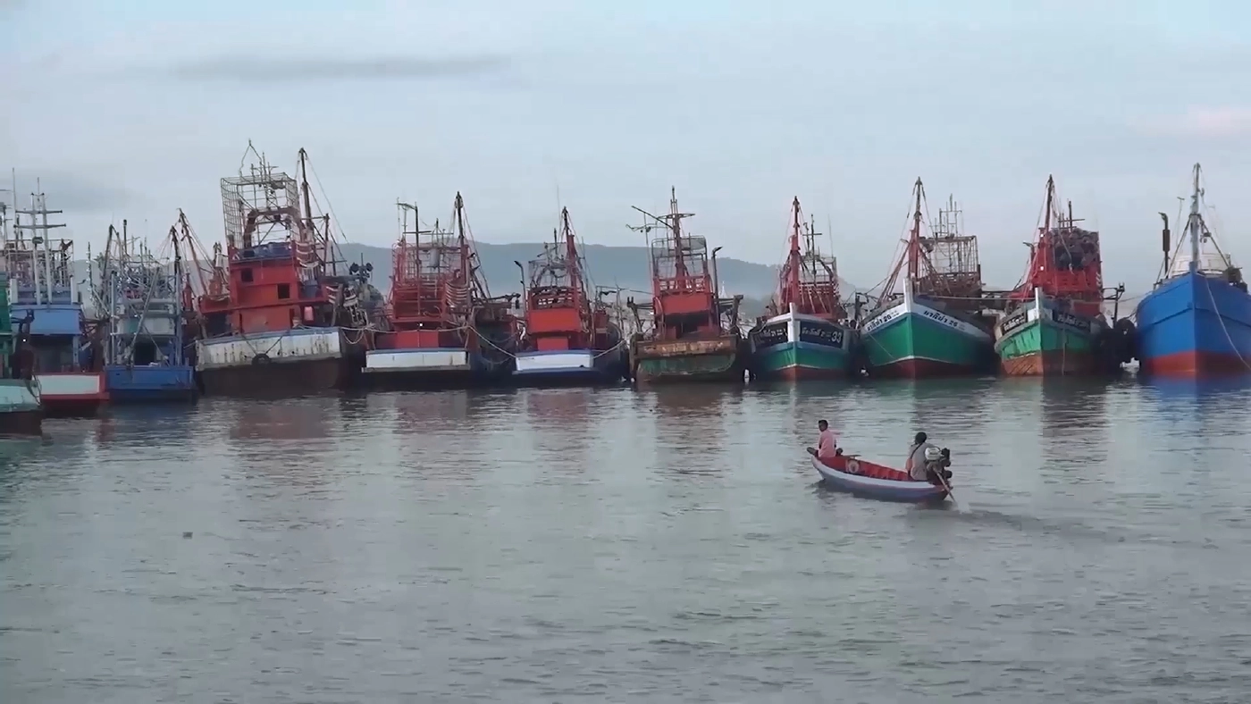 เรือประมงกลับเข้าฝั่ง หลบคลื่นลมแรง 9-13 พ.ย. เรือประมงกลับเข้าฝั่ง หลบคลื่นลมแรง 9-13 พ.ย.