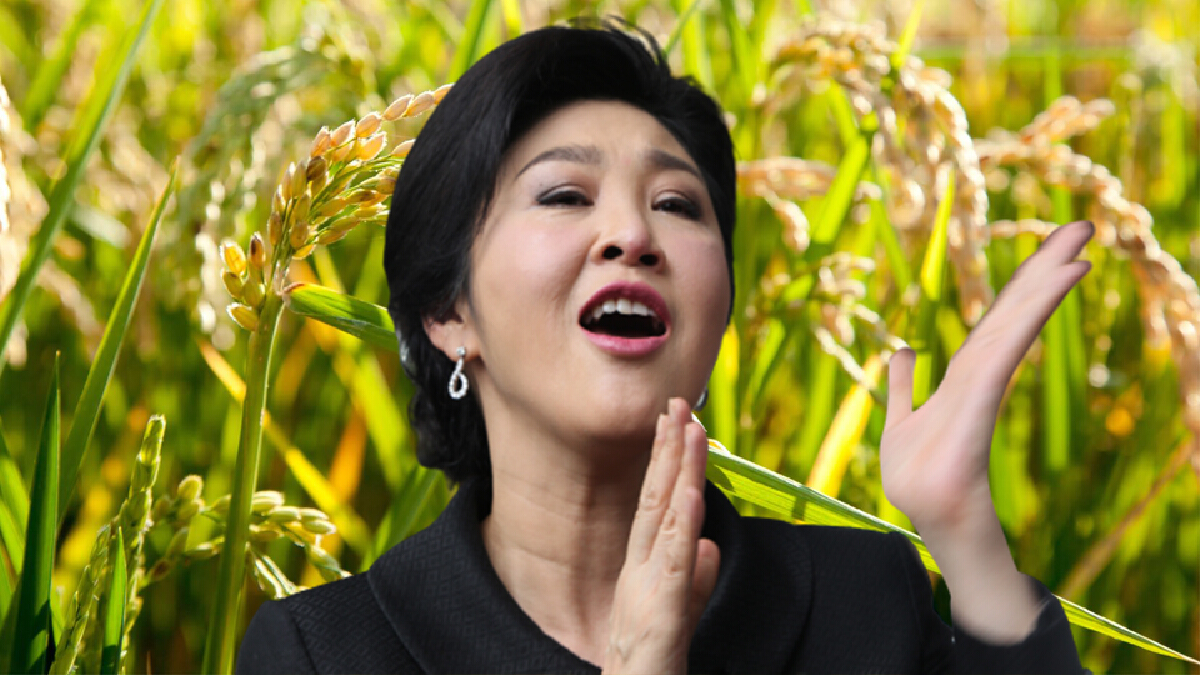 โฆษกรัฐ เหน็บพท.หยุดโหนจำนำข้าว  ชี้ชาวนาจำได้ดี"ยิ่งลักษณ์"ทุจริตมหาศาล