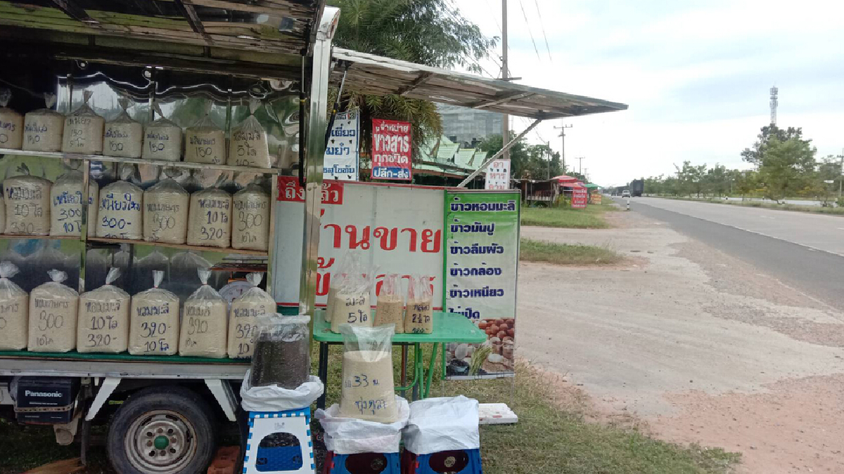 ข้าวเปลือกราคาตก ชาวนาโคราช สีข้าวสารขายเองริมถนน ข้าวเปลือกราคาตก ชาวนาโคราช สีข้าวสารขายเองริมถนน