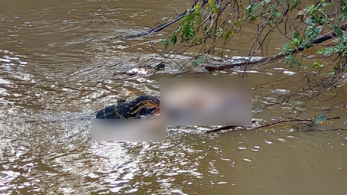 ผงะ ตัวเงินตัวทองรุมทึ้งศพชายกระโดดน้ำสูญหายต่อหน้าสาวอุดร