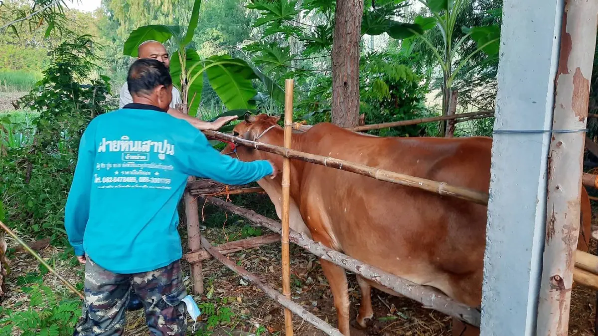 เกษตรฯ สั่งเร่งจ่ายเงินชดเชยเสียหายจาก ลัมปี สกิน เกษตรฯ สั่งเร่งจ่ายเงินชดเชยเสียหายจาก ลัมปี สกิน