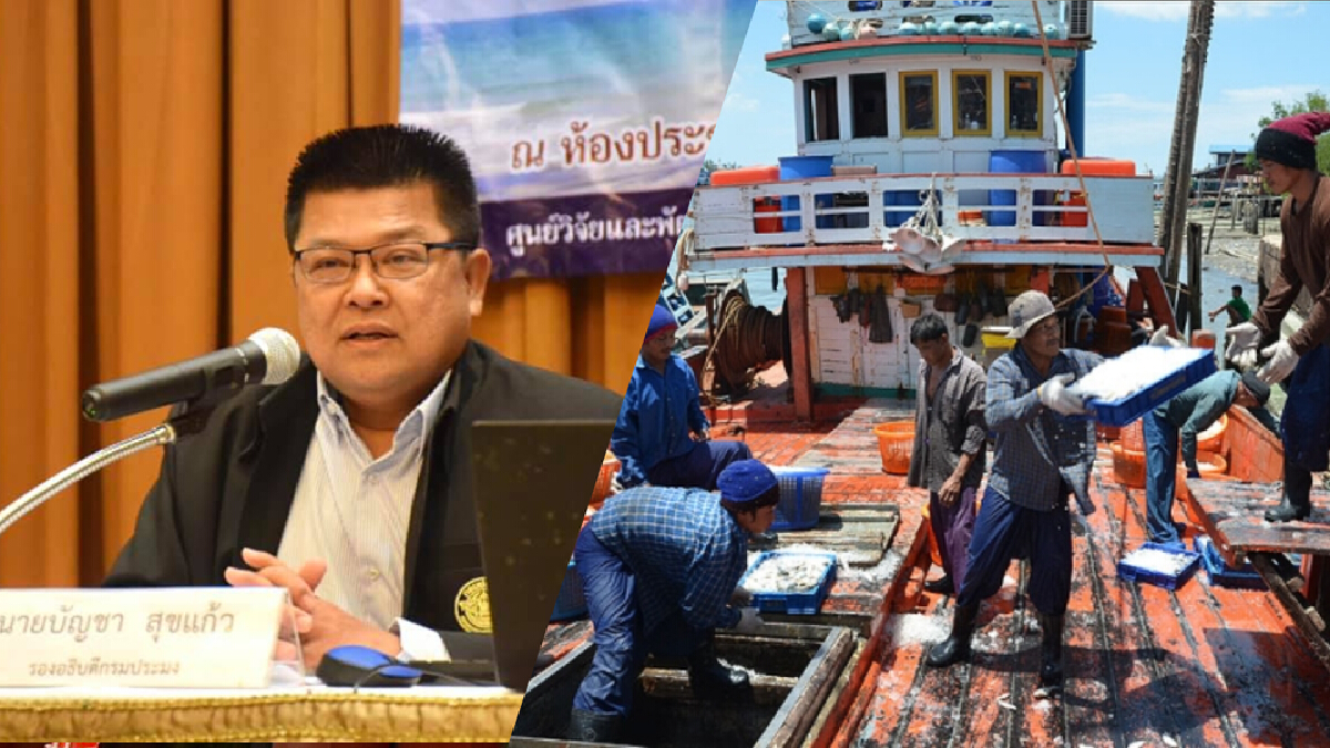 ข่าวดี! แรงงานขาดแคลน กรมประมงรับสมัครแรงงานในเรือประมงจำนวนมากรายได้ดี