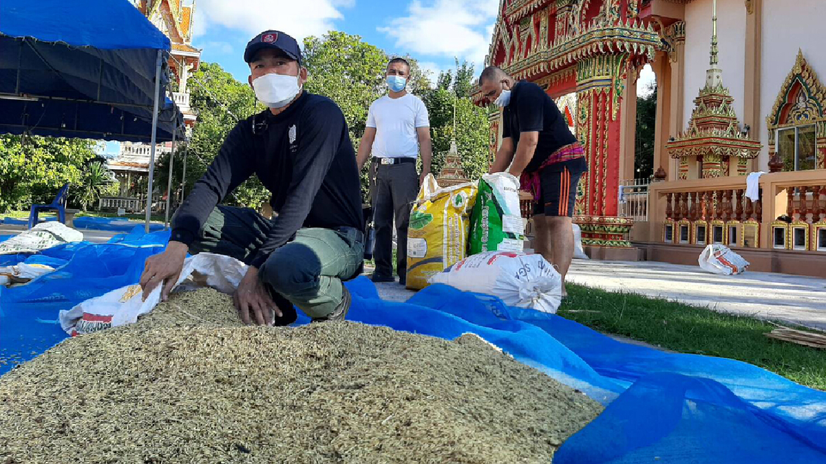 ตำรวจช่วยตากข้าวก่อนเก็บขึ้นยุ้งรอราคา ตำรวจช่วยตากข้าวก่อนเก็บขึ้นยุ้งรอราคา