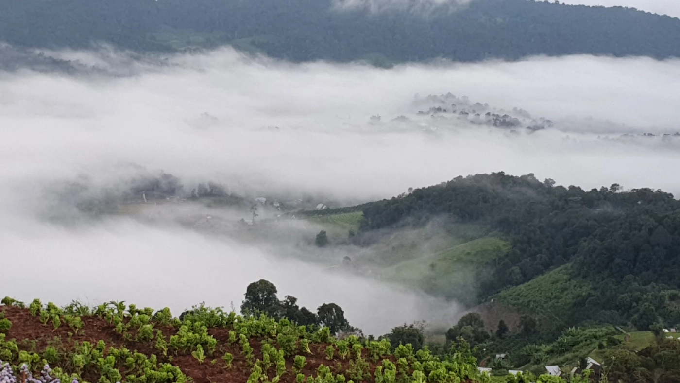 “ม่อนแจ่ม”คึกคักนักเที่ยวล้น ปีใหม่คาดทะลัก5พันคนต่อวัน