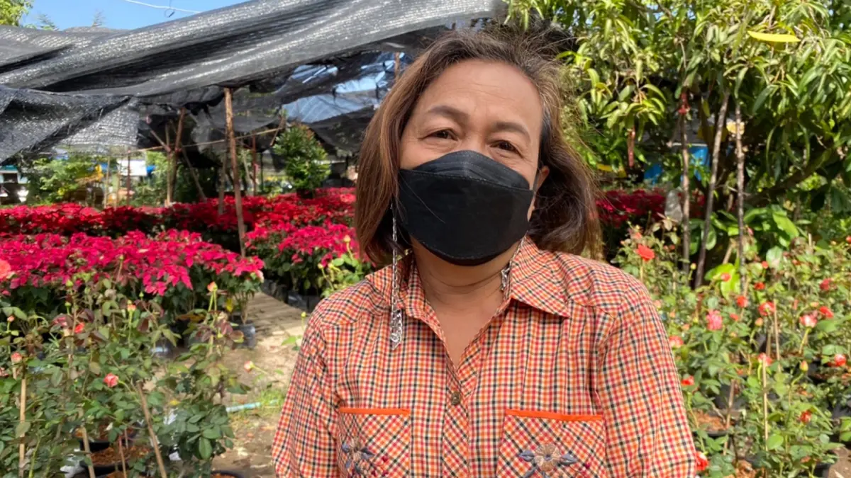 ตลาดไม้ดอกไม้ประดับโคราชคึกคักรับฤดูหนาว