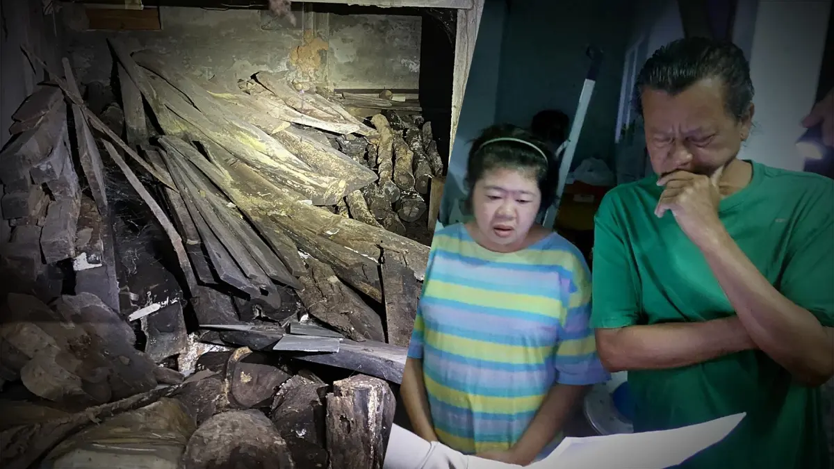 ตร.บุกจับตัวการใหญ่ขบวนการค้าไม้พะยูงข้ามชาติ ตร.บุกจับตัวการใหญ่ขบวนการค้าไม้พะยูงข้ามชาติ