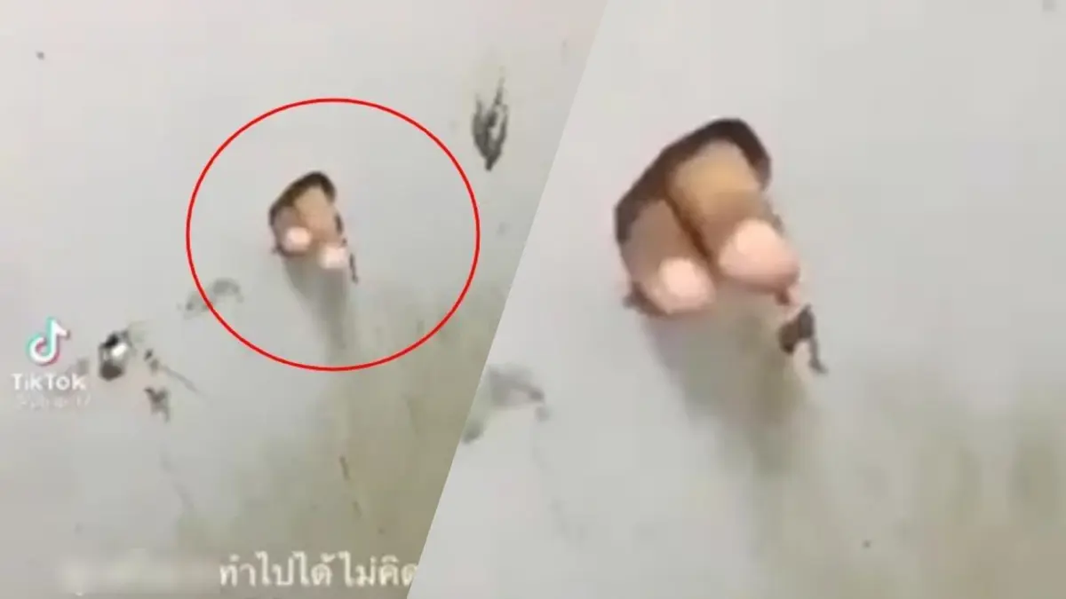 โซเชียลแห่แชร์คลิป "นิ้วปริศนา" โผล่ทะลุรู "ห้องน้ำ" สาธารณะ โซเชียลแห่แชร์คลิป "นิ้วปริศนา" โผล่ทะลุรู "ห้องน้ำ" สาธารณะ