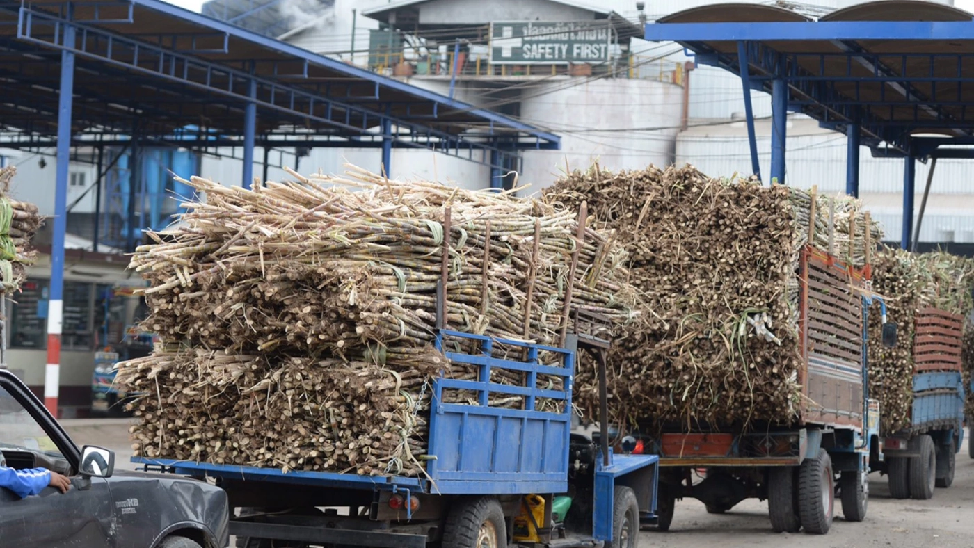 โรงงานน้ำตาล ร้องรัฐช่วยจัดการชาวไร่อ้อยส่งอ้อยไม่ได้คุณภาพ