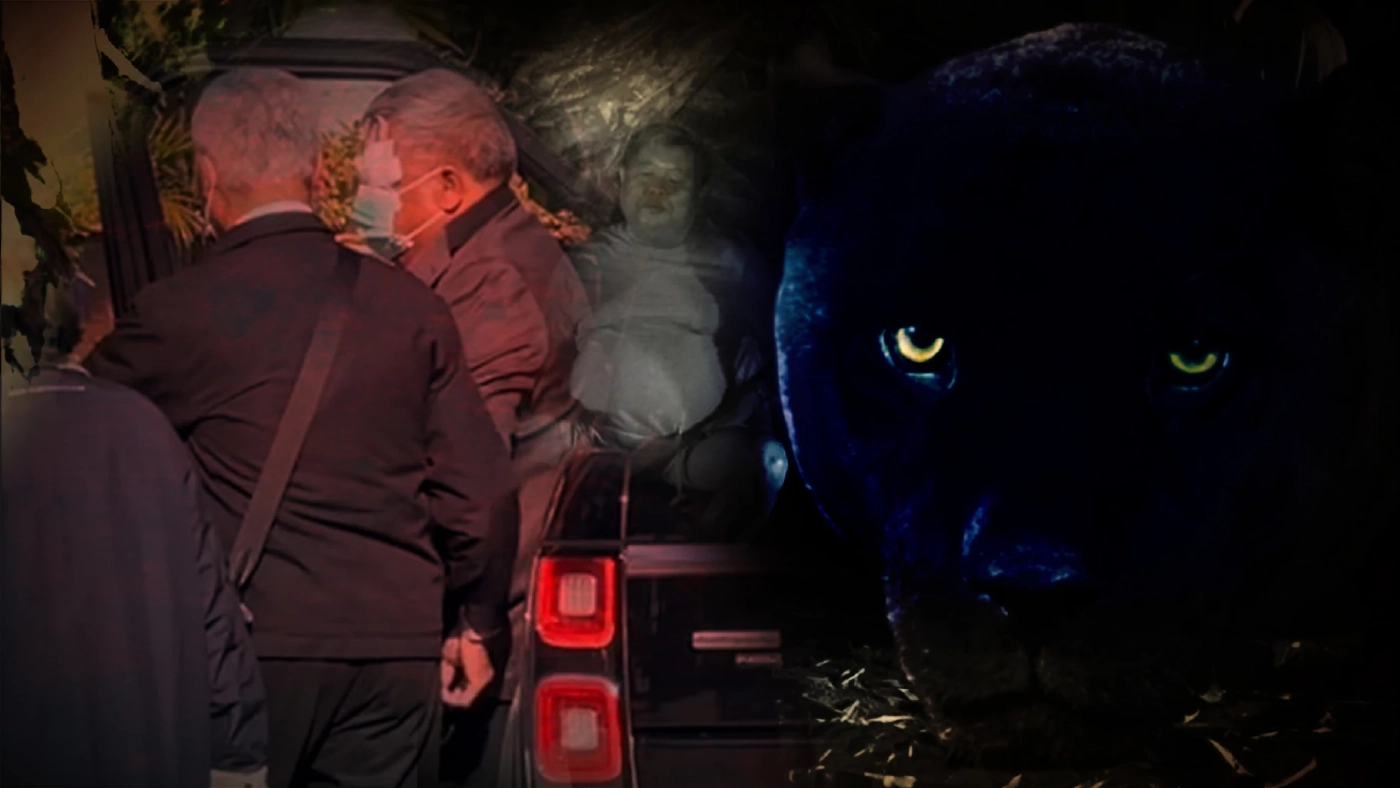 เปิดคำพิพากษาศาลฎีกาจำคุก "เปรมชัย" คดีเสือดำ เปิดคำพิพากษาศาลฎีกาจำคุก "เปรมชัย" คดีเสือดำ