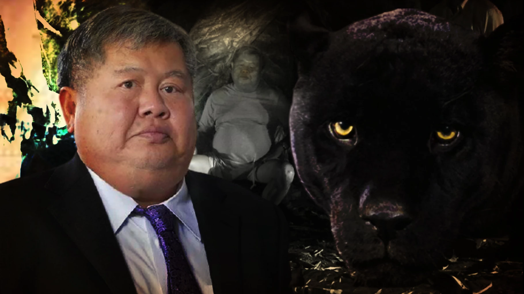 ฝันเห็นเสือดำพร้อมเลขเด็ดนำโชค