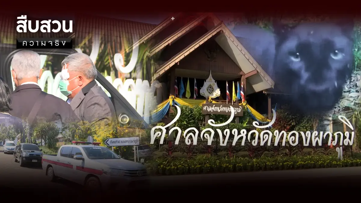 สืบสวนความจริง | ปิดจ๊อบ ”คดีเสือดำ” วิเคราะห์โทษเปรมชัย สืบสวนความจริง | ปิดจ๊อบ ”คดีเสือดำ” วิเคราะห์โทษเปรมชัย