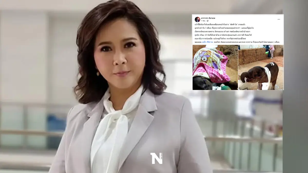 ต๊ะ นารากร โพสต์เศร้าหลังทราบข่าวช้างน้อยวัย 3 เดือน พังฟ้าใสตายแล้ว