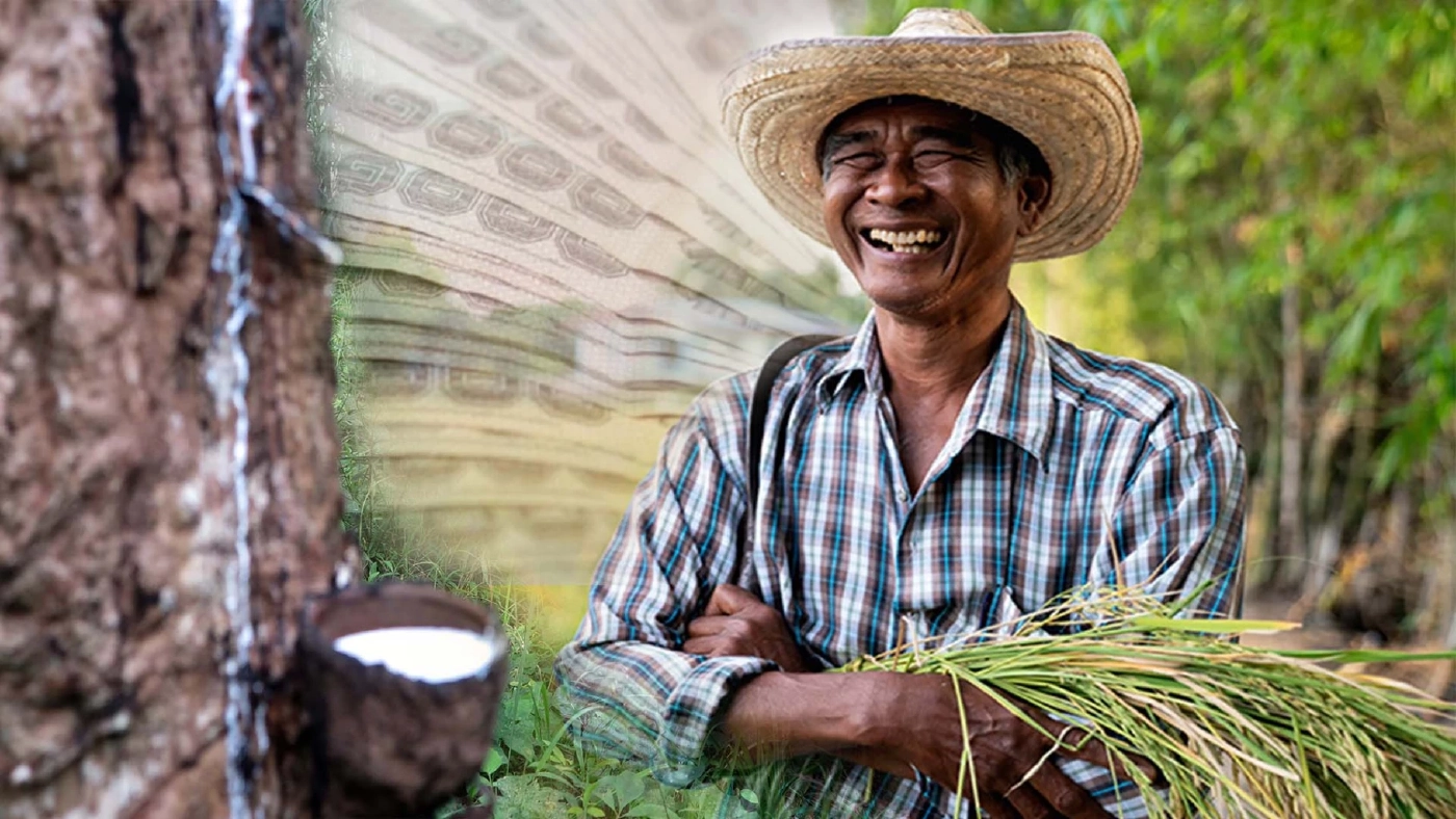 เปิดไทม์ไลน์จ่ายเงินประกันรายได้ “ข้าว - ยางพารา” ช่วยเหลือเกษตรกร