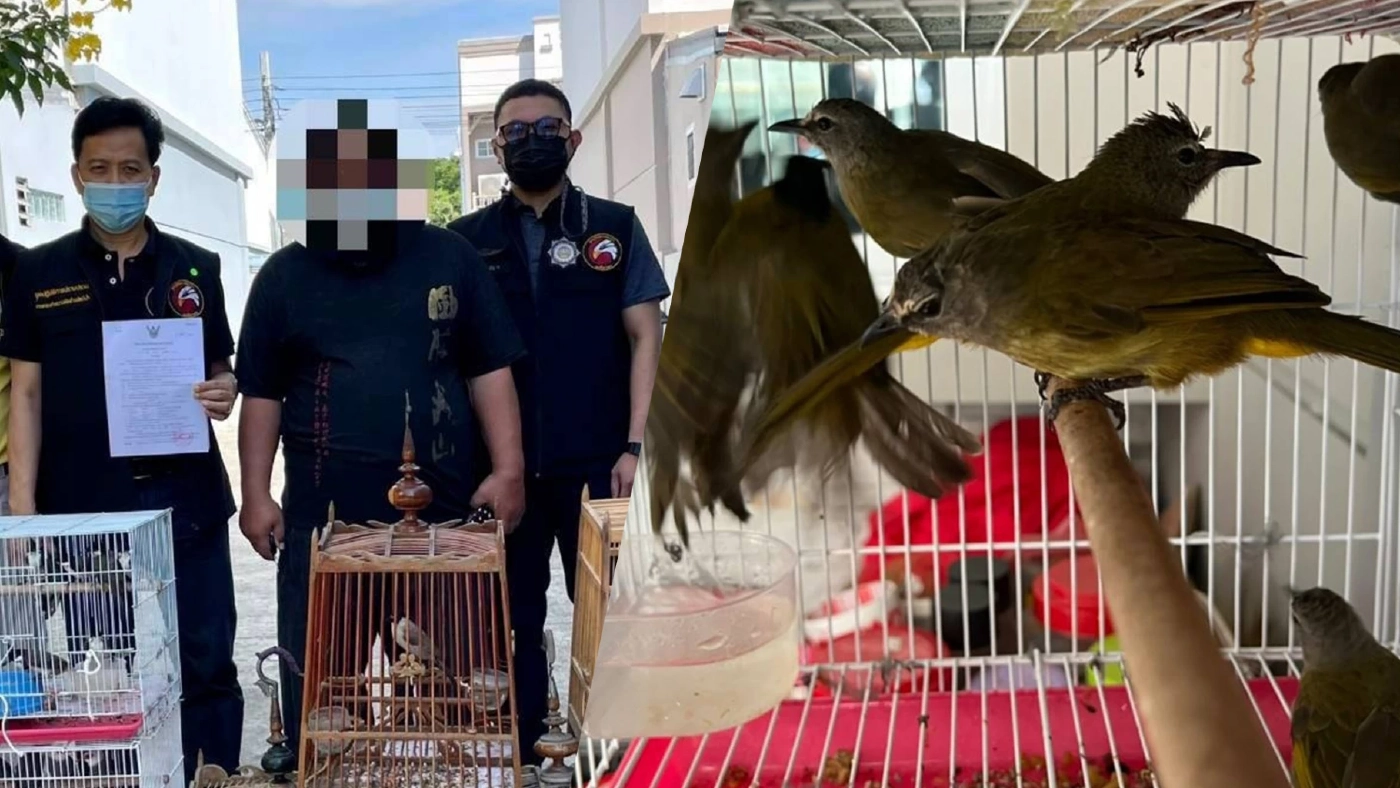 ชุดเหยี่ยวดง รวบหนุ่มตกงาน ลอบค้าสัตว์ป่าคุ้มครองผ่านทางเฟซบุ๊ก