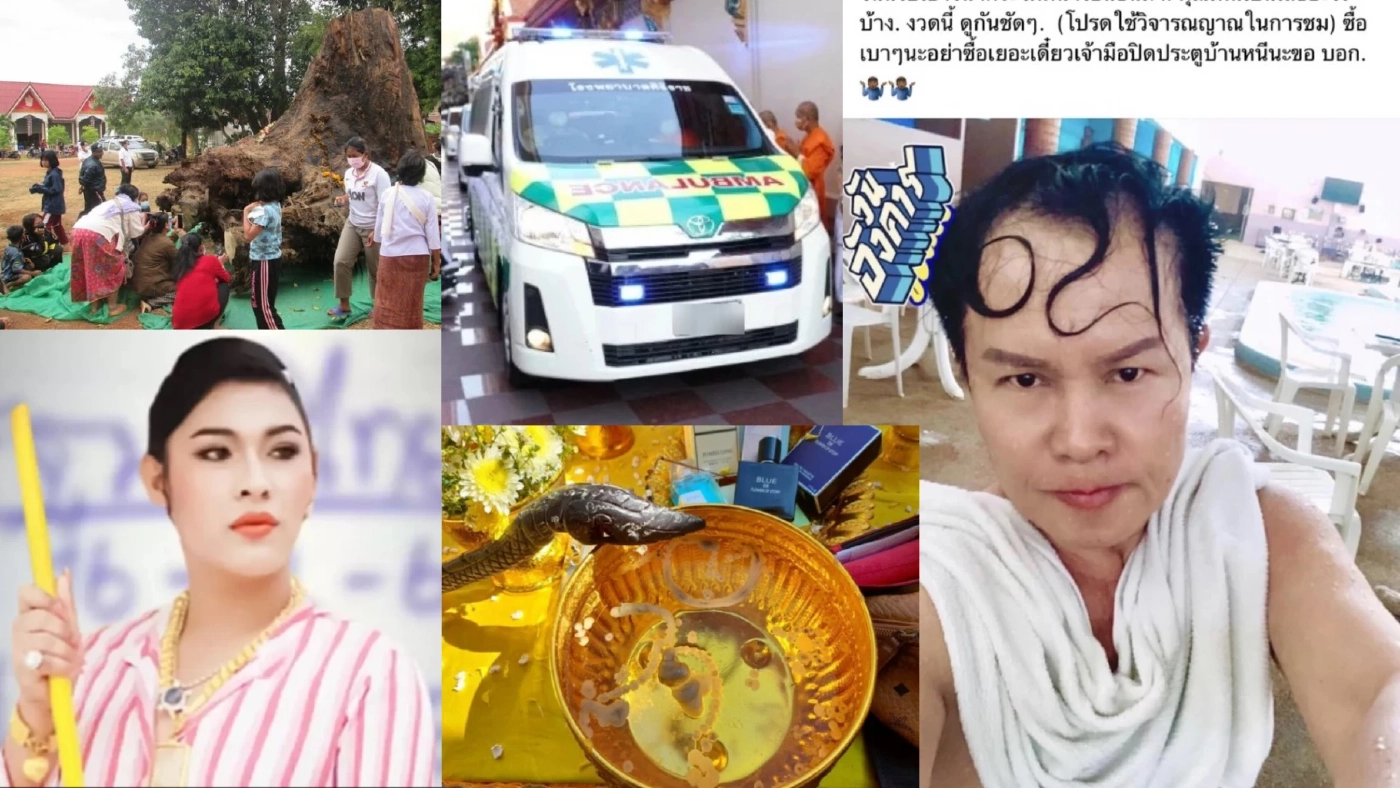 เลขเด็ด เลขดัง งวด 16/12/64 ทุกสำนักมัดรวมมาให้แล้ว เลขเด็ด เลขดัง งวด 16/12/64 ทุกสำนักมัดรวมมาให้แล้ว