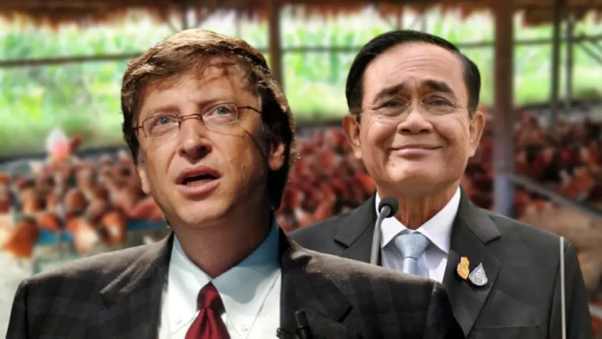 ย้อนคำพูด “Bill Gates” เลี้ยงไก่แก้ปัญหาความยากจน
