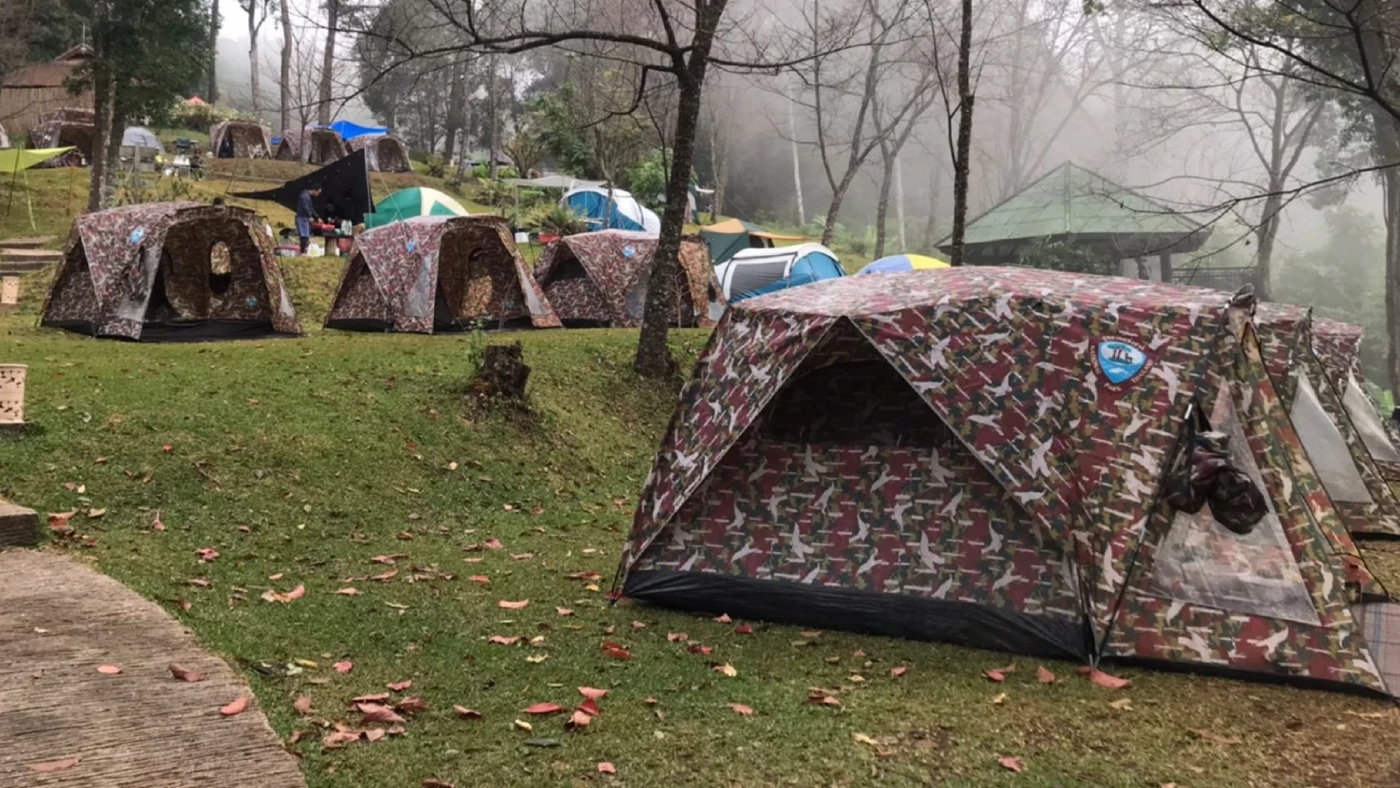 คืนเคานท์ดาวน์นักเที่ยวนับหมื่นคนแห่ฉลองบนดอยเชียงใหม่