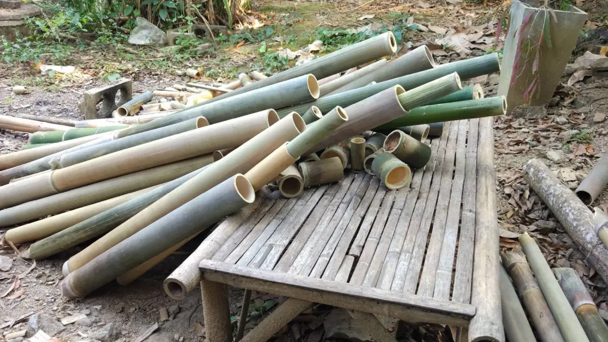‘ไม้ข้าวหลาม‘ ทำเงินกว่า 3 หมื่น/เดือน ‘ไม้ข้าวหลาม‘ ทำเงินกว่า 3 หมื่น/เดือน