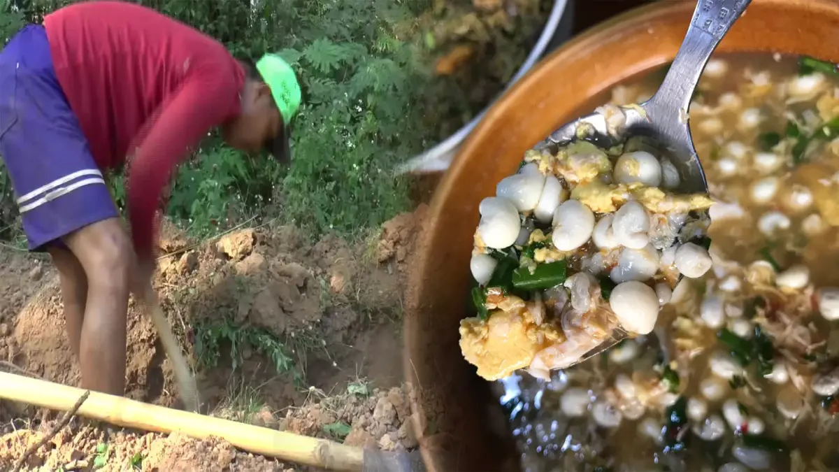 ขุดไข่แมงมันทำเงิน 2 พันบาท/วัน