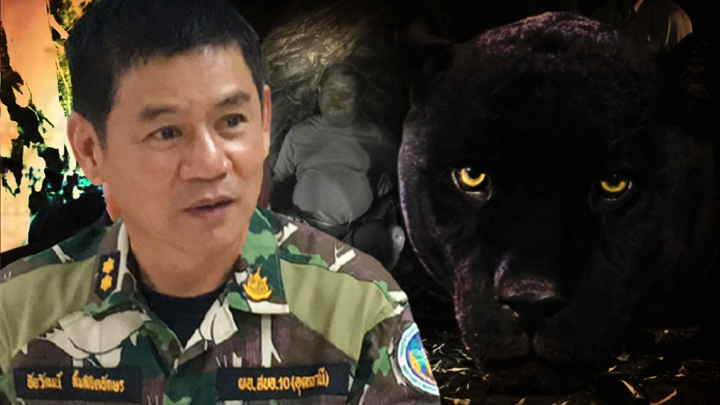 เปิดใจ "ชัยวัฒน์" มือปราบพรานป่า "เปรมชัย" เปิดใจ "ชัยวัฒน์" มือปราบพรานป่า "เปรมชัย"