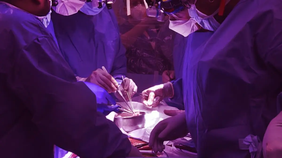 ครั้งแรกของโลก! แพทย์สหรัฐฯ ปลูกถ่าย "หัวใจหมู" สู่ร่างกายมนุษย์สำเร็จ