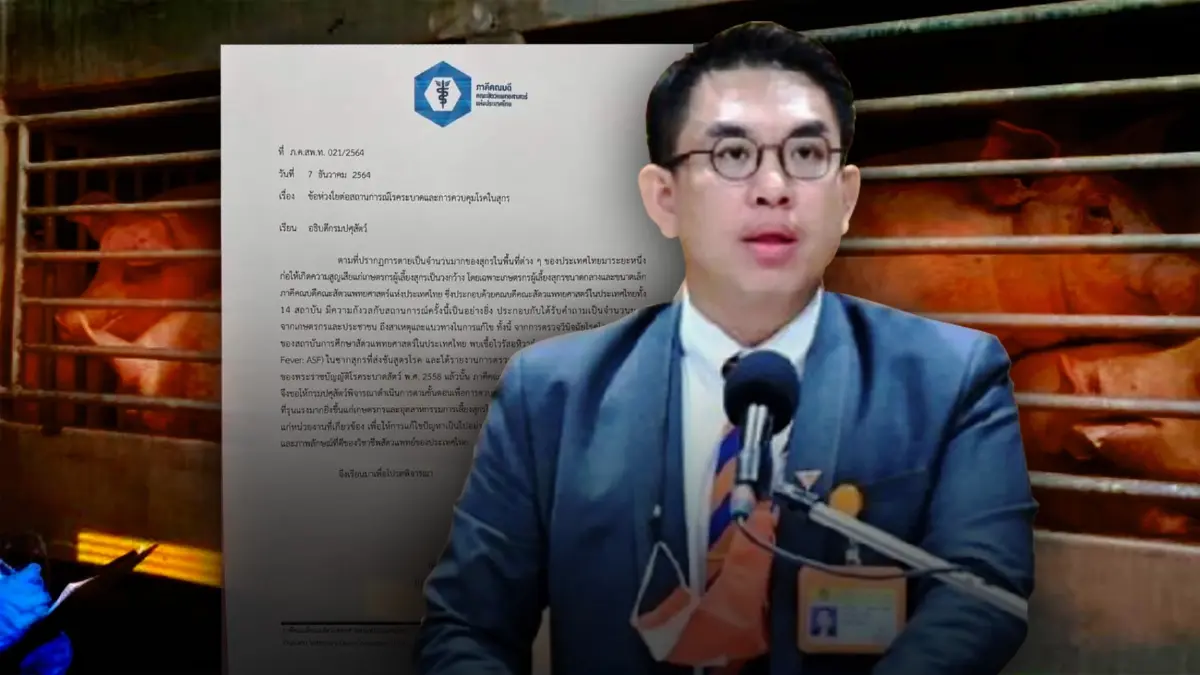 ภาคีคณะสัตวแพทยศาสตร์ 14 สถาบัน จี้กรมปศุสัตว์ ยอมรับ มีเชื้อ ASF ในซากสุกร