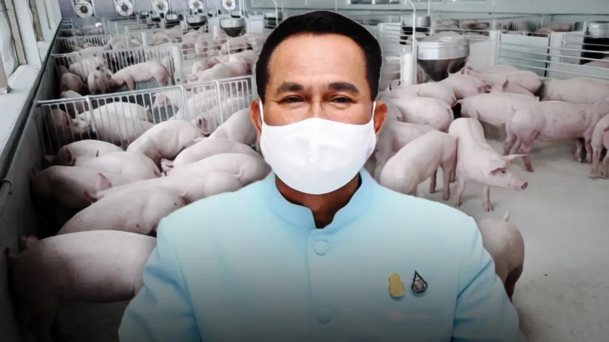 กรมปศุสัตว์ ใช้ 8 วิธี ยกระดับฟาร์มหมู สกัด "โรค ASF"