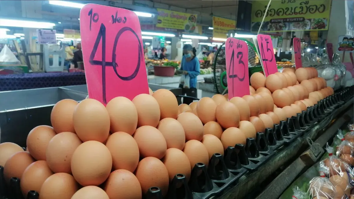 แผงไข่-ร้านอาหาร​ตามสั่งเชียงใหม่ ตรึงราคาช่วยลูกค้า