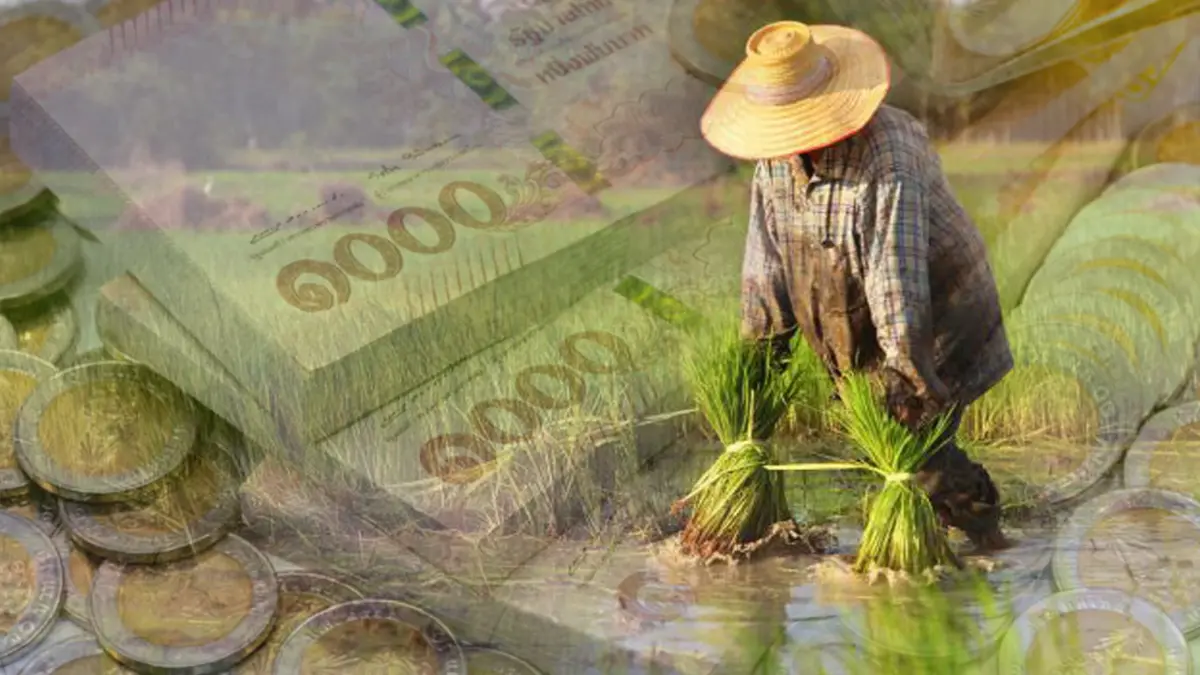 ธ.ก.ส. โอนเงินประกันรายได้ข้าว ให้เกษตรกรอีก 2.5 หมื่นครัวเรือน ธ.ก.ส. โอนเงินประกันรายได้ข้าว ให้เกษตรกรอีก 2.5 หมื่นครัวเรือน