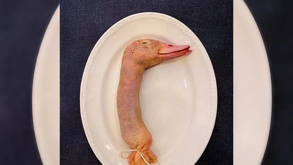 คอเป็ดยัดไส้ อาหารระดับไฮเอนด์ ในอังกฤษ คอเป็ดยัดไส้ อาหารระดับไฮเอนด์ ในอังกฤษ