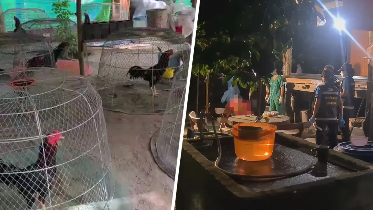 ขอมอบตัวแล้ว เพื่อนบ้านปืนดุ"ยิงอดีตสารวัตรทหาร"ดับ ปมรำคาญเสียงไก่ขัน