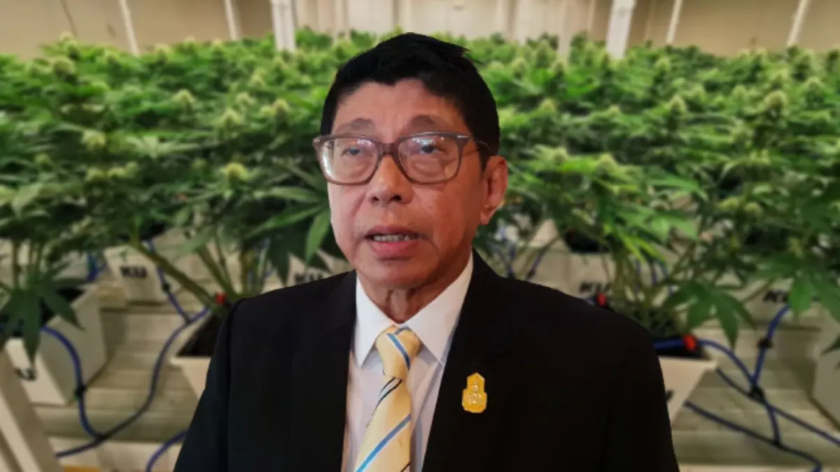“วิษณุ” ยันเร่งหารือสางปม “กัญชา” ขอประชาชนชะลอการปลูก “วิษณุ” ยันเร่งหารือสางปม “กัญชา” ขอประชาชนชะลอการปลูก