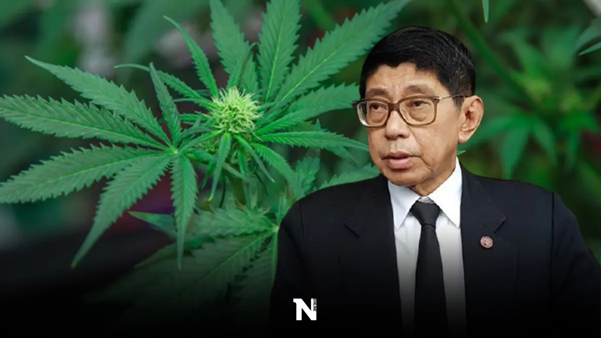 ระวังถูกจับ! "วิษณุ"ย้ำอย่าด่วนปลูกกัญชา รอให้กม.เสร็จก่อน ระวังถูกจับ! "วิษณุ"ย้ำอย่าด่วนปลูกกัญชา รอให้กม.เสร็จก่อน