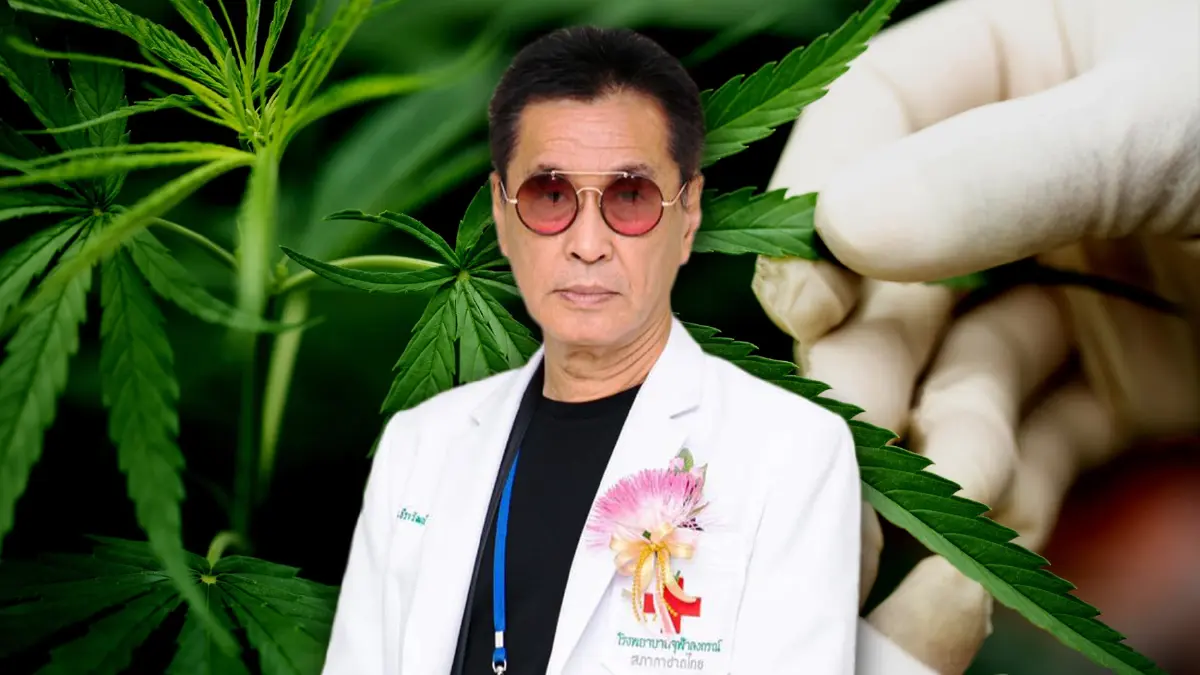 “กัญชา” ดีในการรักษา แต่ยังเป็นยาเสพติด ปลูกไม่ขออนุญาตจับติดคุก